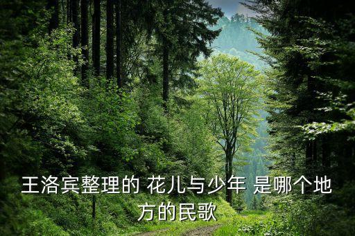 王洛宾整理的 花儿与少年 是哪个地方的民歌
