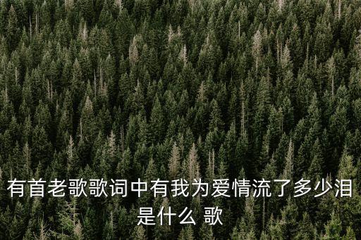 有首老歌歌词中有我为爱情流了多少泪是什么 歌