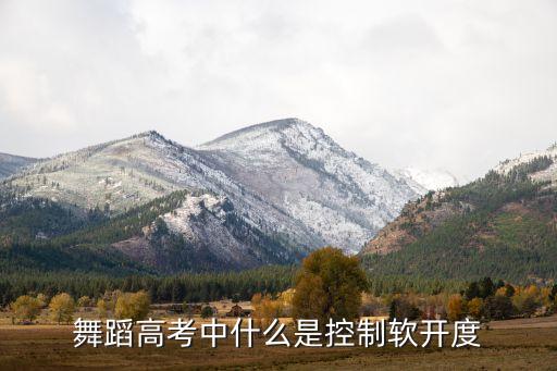 舞蹈高考中什么是控制软开度