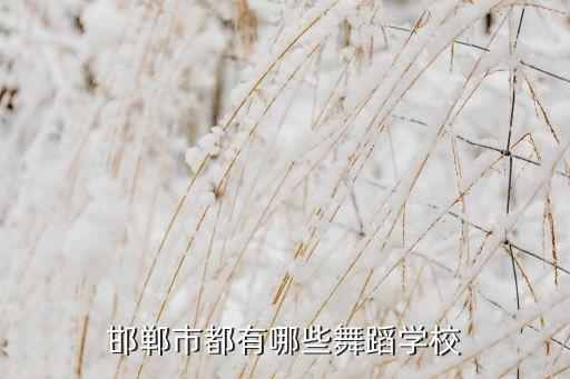 邯郸市都有哪些舞蹈学校