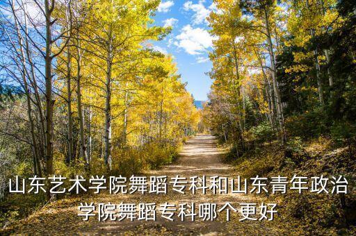 山东艺术学院舞蹈专科和山东青年政治学院舞蹈专科哪个更好