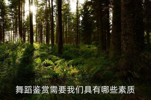 舞蹈鉴赏需要我们具有哪些素质