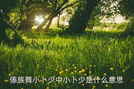 小卜少舞蹈怎么跳讲解，傣族舞小卜少中小卜少是什么意思