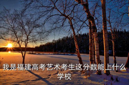 我是福建高考艺术考生这分数能上什么学校