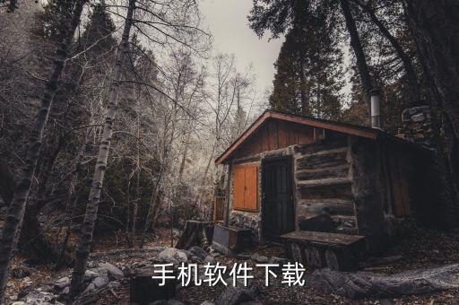 快手极速版下载安装 app，手机软件下载