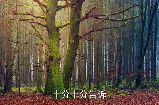 十分十分告诉