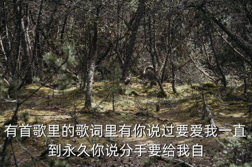 有首歌里的歌词里有你说过要爱我一直到永久你说分手要给我自