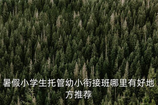 东阳市幼小衔接暑期班，浙江东阳有接受3周岁以下的孩子的宝宝班吗知道的请回答一下 谢谢