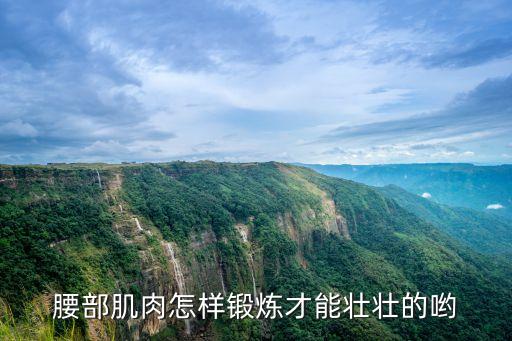 怎么活动腰基本功，腰部肌肉怎样锻炼才能壮壮的哟