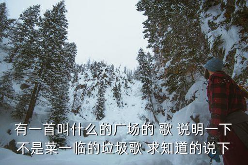 什么带广场歌名是什么，有一首叫什么的广场的 歌 说明一下不是菜一临的垃圾歌 求知道的说下