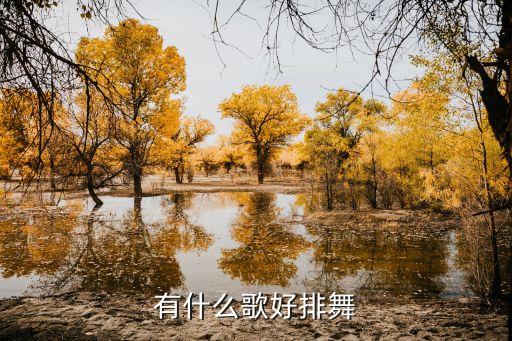 有什么歌好排舞
