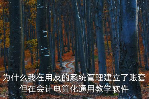 为什么我在用友的系统管理建立了账套但在会计电算化通用教学软件