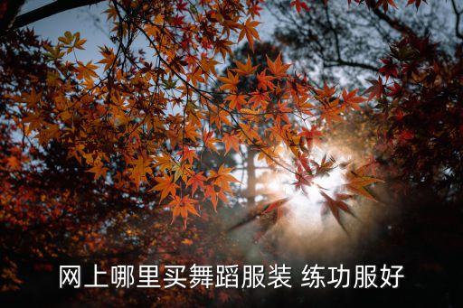 网上哪里买舞蹈服装 练功服好