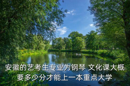 安徽的艺考生专业为钢琴 文化课大概要多少分才能上一本重点大学