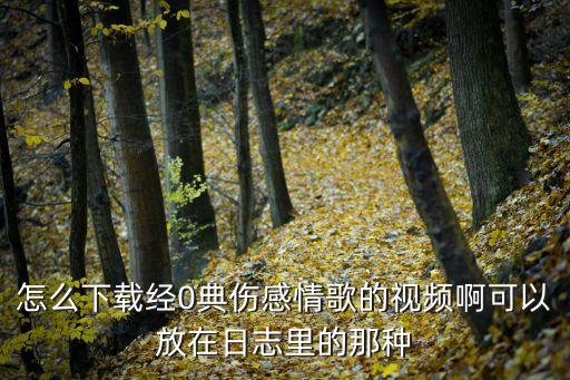 怎么下载经0典伤感情歌的视频啊可以放在日志里的那种