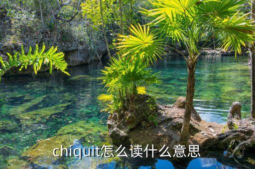 chiquit怎么读什么意思