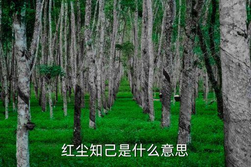 红尘知己是什么意思