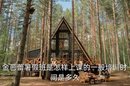 金芭蕾暑假班是怎样上课的一般培训时间是多久