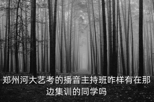 郑州河大艺考的播音主持班咋样有在那边集训的同学吗