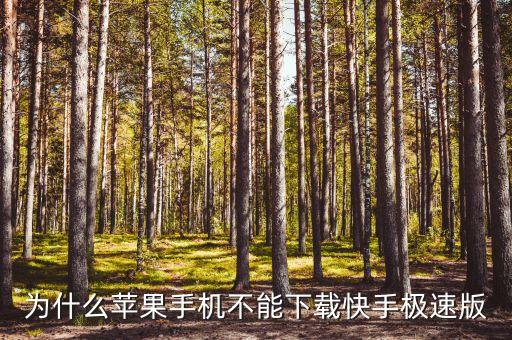 为什么苹果手机不能下载快手极速版