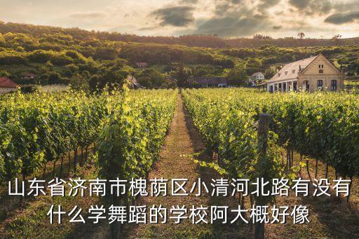 济南舞蹈艺校，济南舞蹈艺考培训机构有哪几家