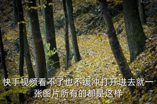 快手视频看不了也不缓冲打开进去就一张图片所有的都是这样