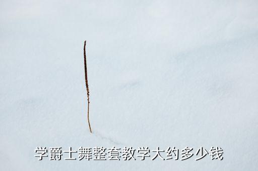 学爵士舞整套教学大约多少钱