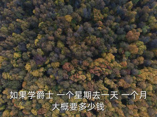 如果学爵士 一个星期去一天 一个月大概要多少钱