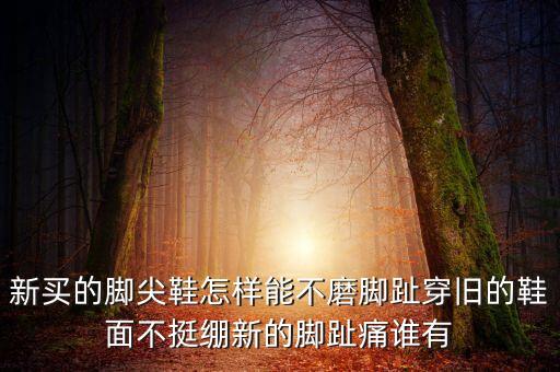 新买的脚尖鞋怎样能不磨脚趾穿旧的鞋面不挺绷新的脚趾痛谁有