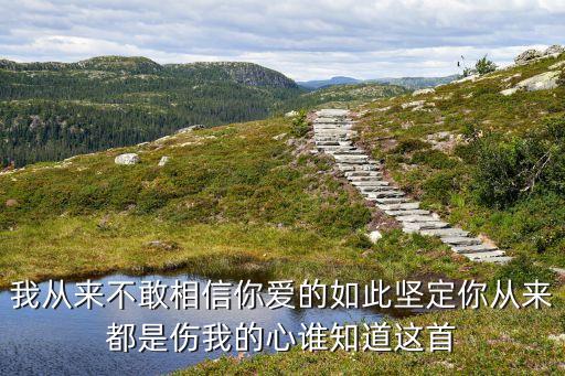 爱的路上伤我的心是什么歌，爱一个人伤我的心是首什么歌