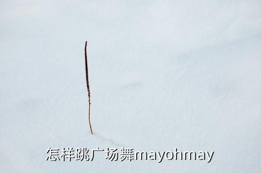 怎样跳广场舞mayohmay