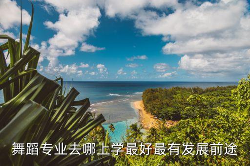 舞蹈专业985大学排名榜，中国大学艺术类专业排名