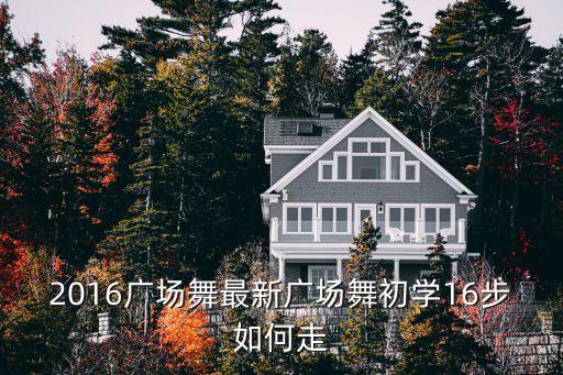 2016广场舞最新广场舞初学16步如何走