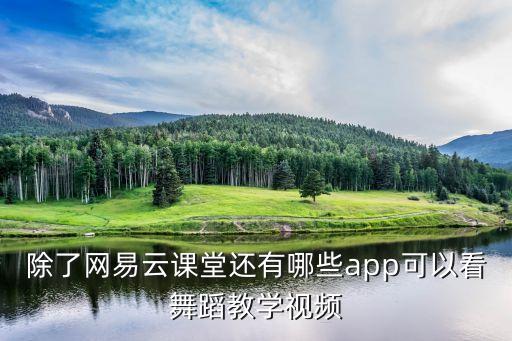 舞蹈网课什么网站好，除了网易云课堂还有哪些app可以看舞蹈教学视频