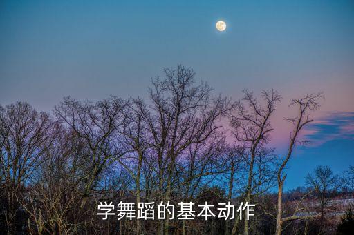 学舞蹈的基本动作