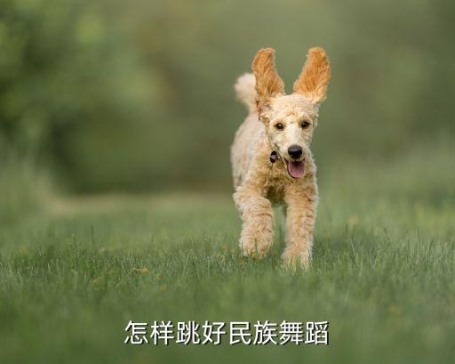 怎样跳好民族舞蹈