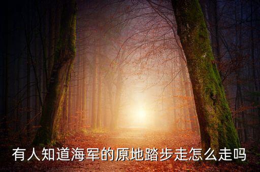 踏踢步是怎么走，CF踢踏步怎么走