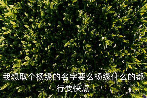 唱缘的杨什么名字，台湾一个姓杨的女歌手叫什么