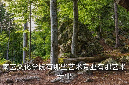 南艺文化学阮有那些艺术专业有那艺术专业