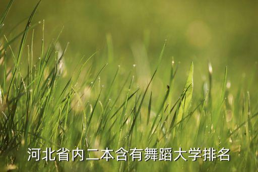 河北省内二本含有舞蹈大学排名