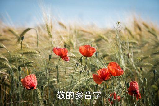 敬的多音字