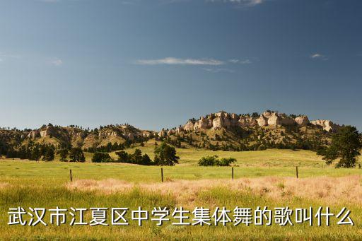 武汉市江夏区中学生集体舞的歌叫什么