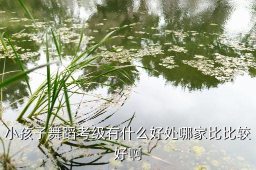 小孩子舞蹈考级有什么好处哪家比比较好啊
