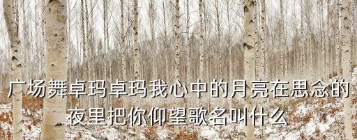 广场舞卓玛卓玛我心中的月亮在思念的夜里把你仰望歌名叫什么