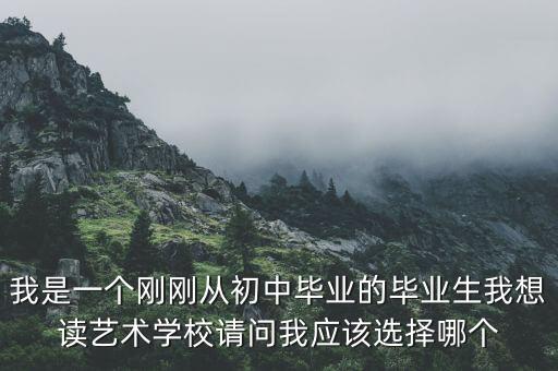 我是一个刚刚从初中毕业的毕业生我想读艺术学校请问我应该选择哪个