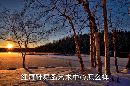 红舞鞋舞蹈艺术中心怎么样