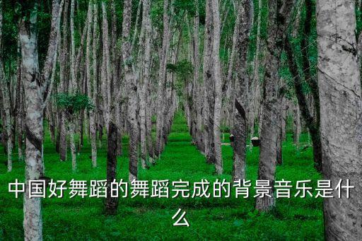 中国好舞蹈的舞蹈完成的背景音乐是什么