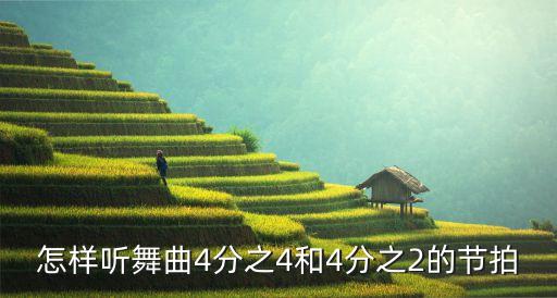 怎样听舞曲4分之4和4分之2的节拍