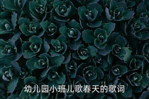 幼儿园小班儿歌春天的歌词