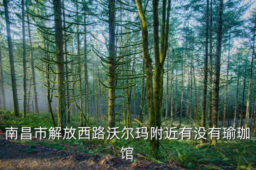 南昌市解放西路沃尔玛附近有没有瑜珈馆